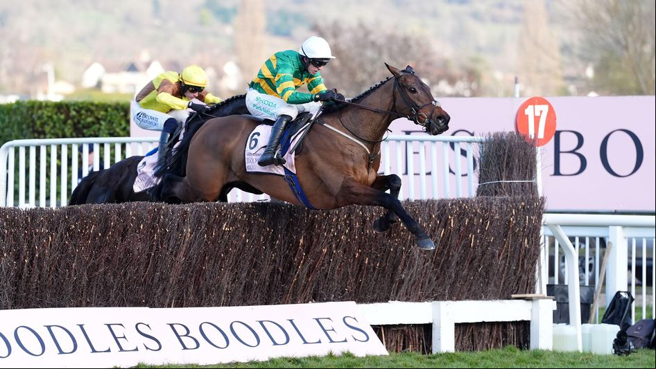 Inothewayurthinkin takes the last fence in style at Cheltenham