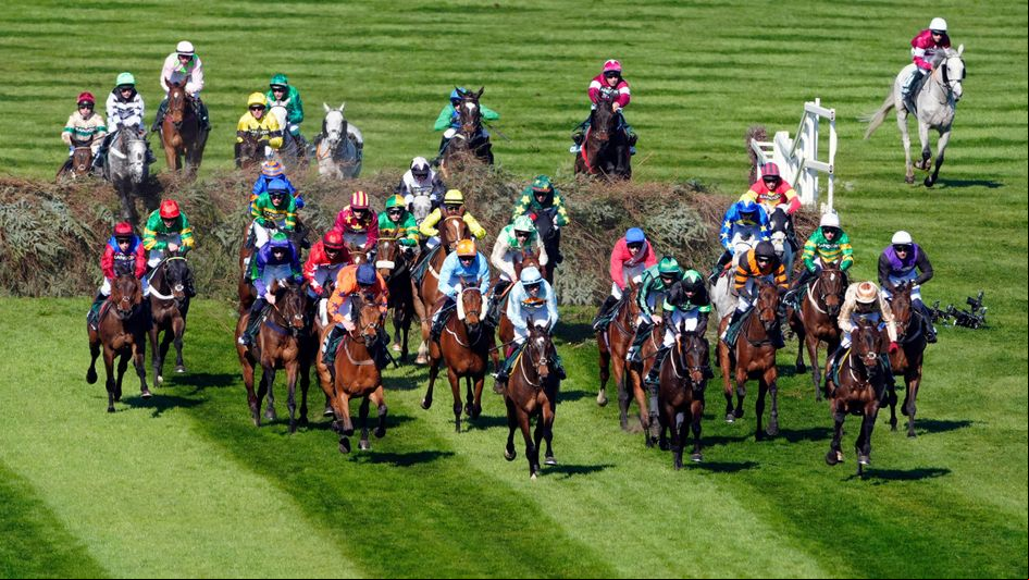 The Grand National field of 2025