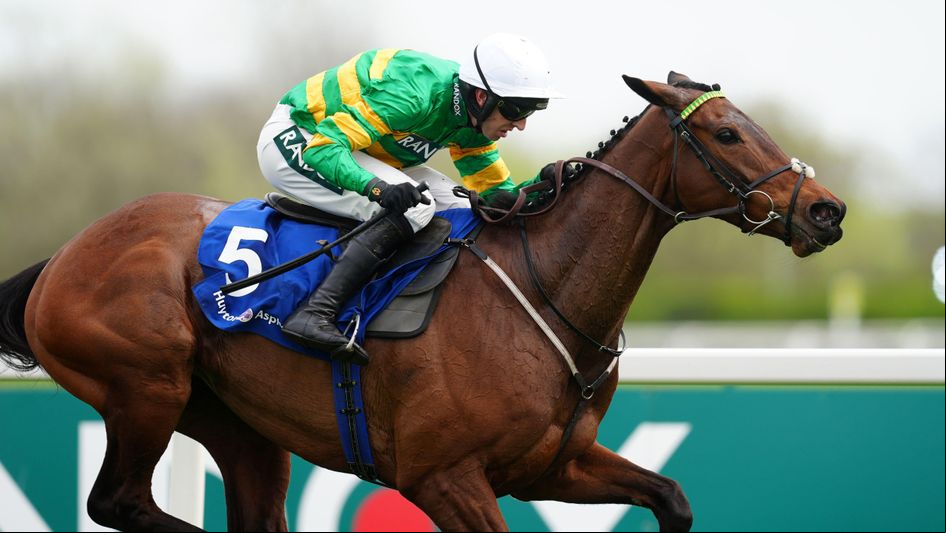 Inothewayurthinkin wins at Aintree