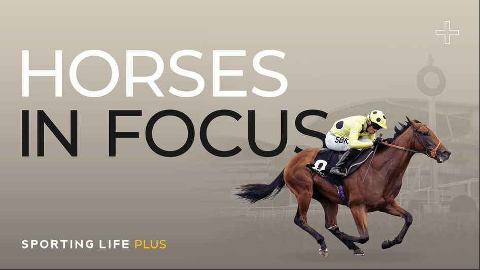 Get today's Horses In Focus