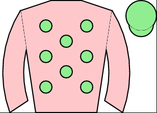 Horse silk
