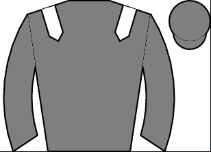 Horse silk