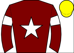 Horse silk