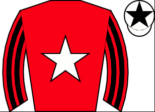 Horse silk
