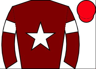 Horse silk