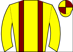 Horse silk