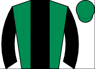 Horse silk