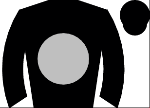 Horse silk