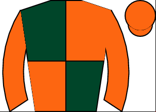 Horse silk