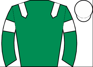 Horse silk