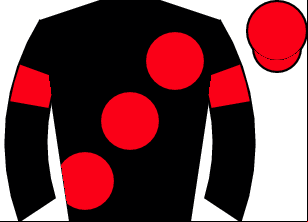 Horse silk