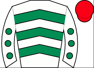 Horse silk