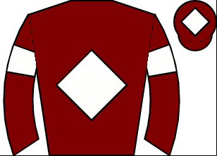 Horse silk