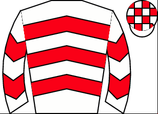 Horse silk