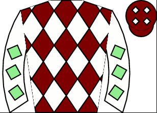 Horse silk