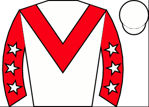 Horse silk