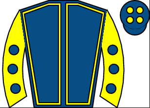 Horse silk