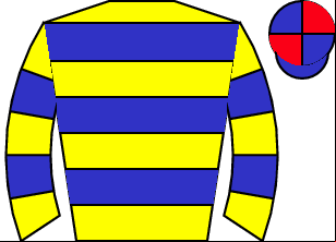 Horse silk