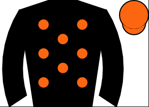 Horse silk