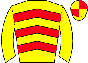 Horse silk