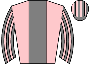 Horse silk