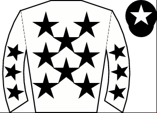 Horse silk
