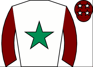 Horse silk