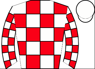 Horse silk