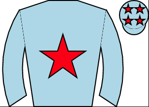 Horse silk