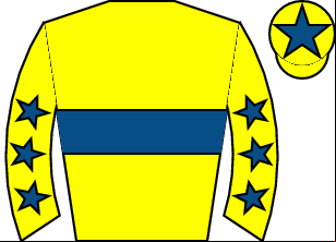 Horse silk