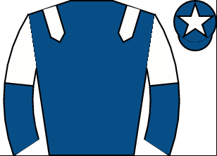 Horse silk