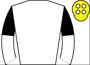 Horse silk
