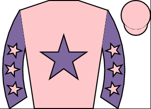 Horse silk