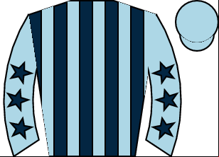 Horse silk