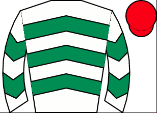Horse silk