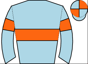 Horse silk