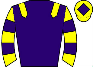 Horse silk