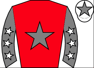 Horse silk