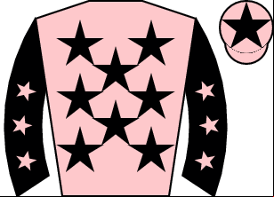 Horse silk