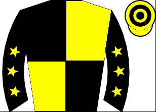 Horse silk