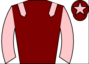 Horse silk