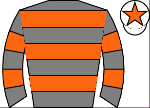 Horse silk