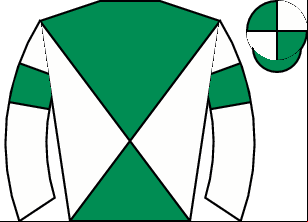 Horse silk
