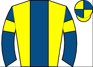 Horse silk
