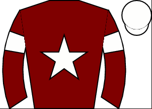 Horse silk