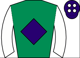 Horse silk