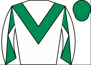 Horse silk