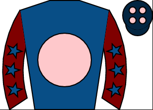 Horse silk