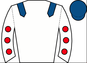 Horse silk