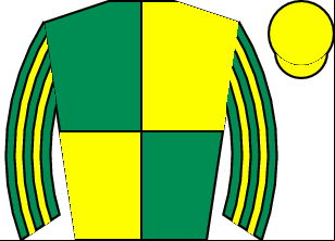 Horse silk